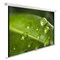 Экран Cactus WallExpert CS-PSWE-200x150-WT 99" 4:3 настенно-потолочный (200x150 см.) - фото 9350